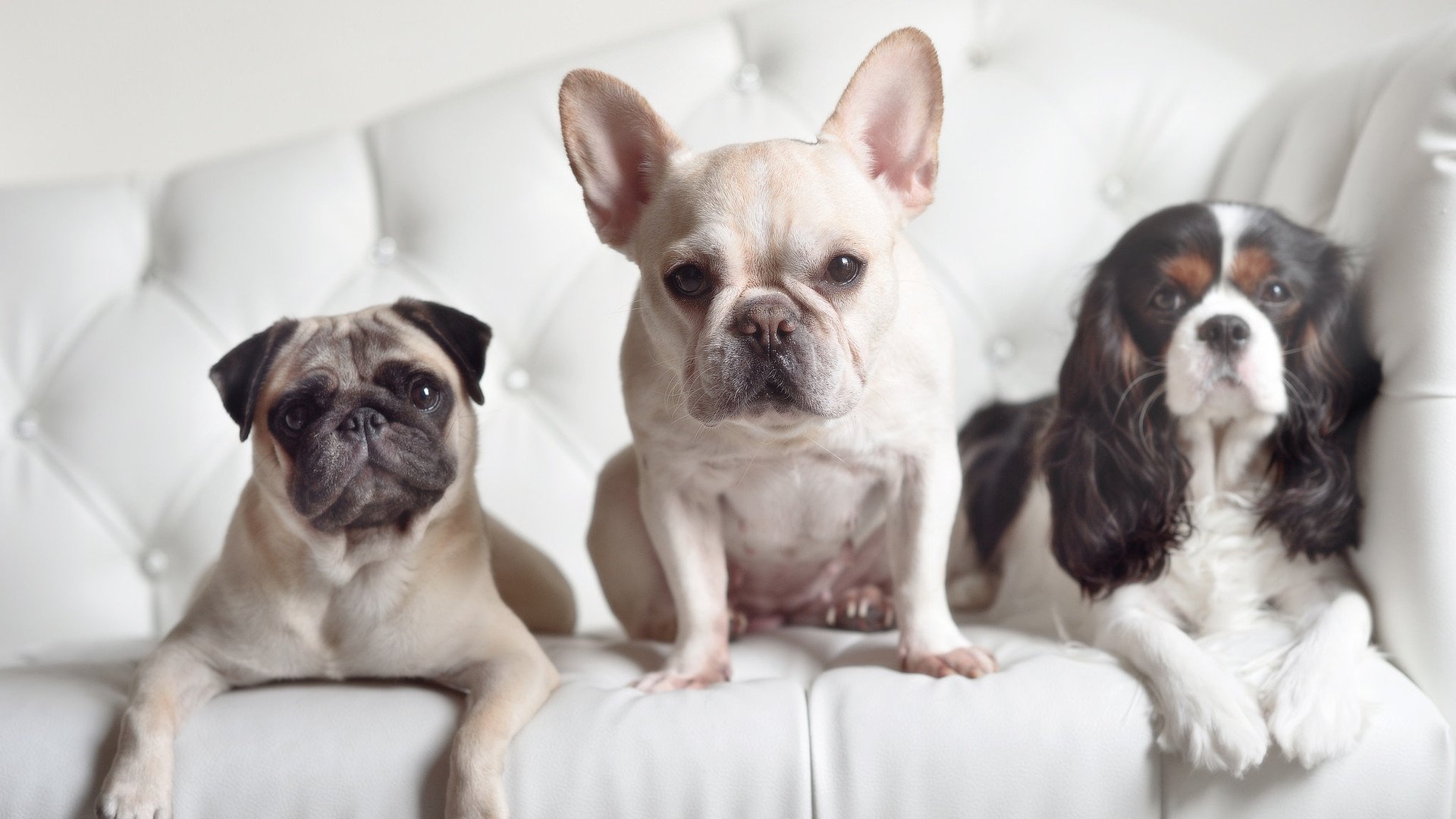 奥运前哨战，猛龙爆冷鹈鹕，年轻风暴搅动周期版图