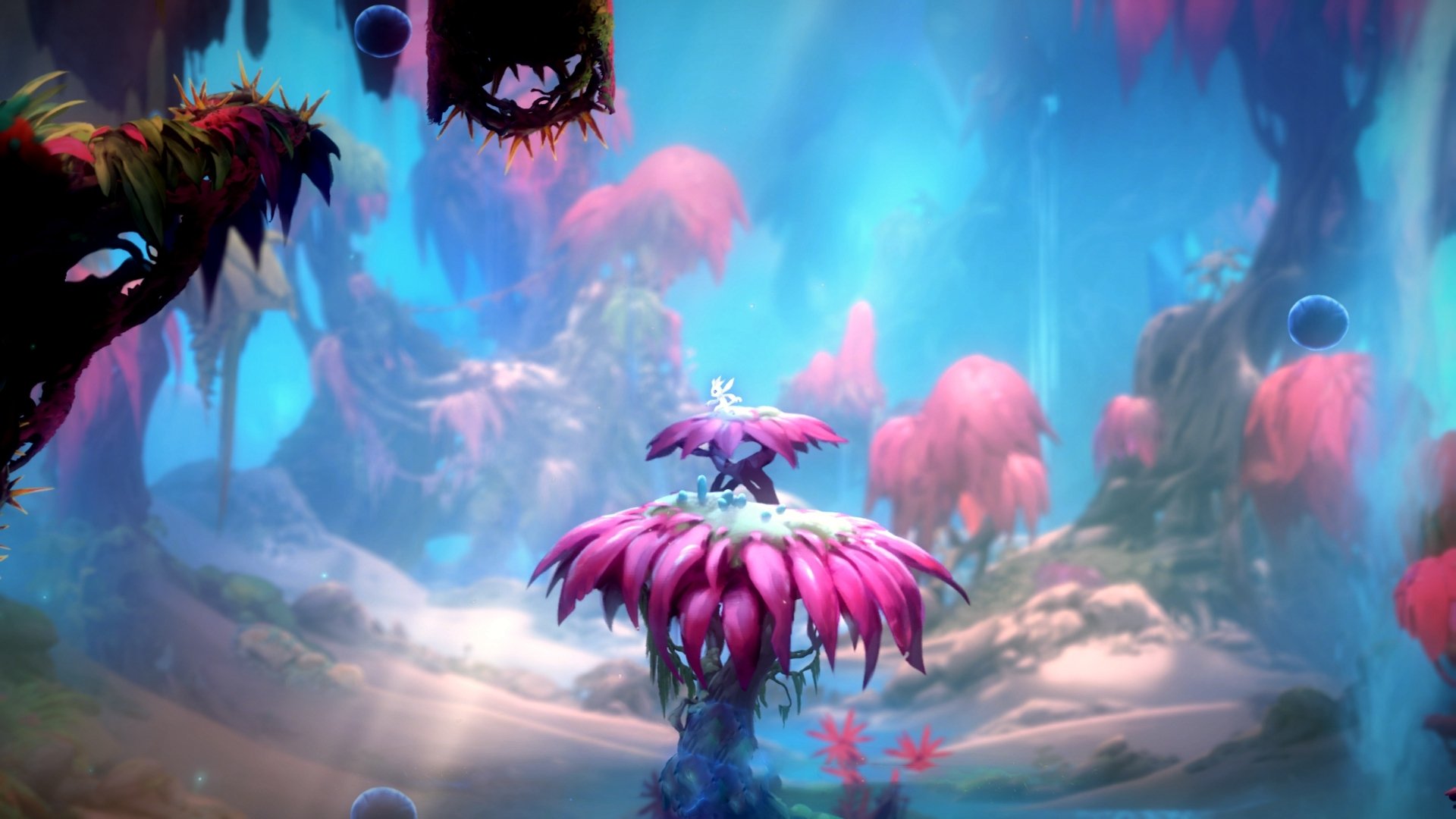 基米希的量子纠缠，为何荷兰输球后，唯独他的爆冷是逆行者？