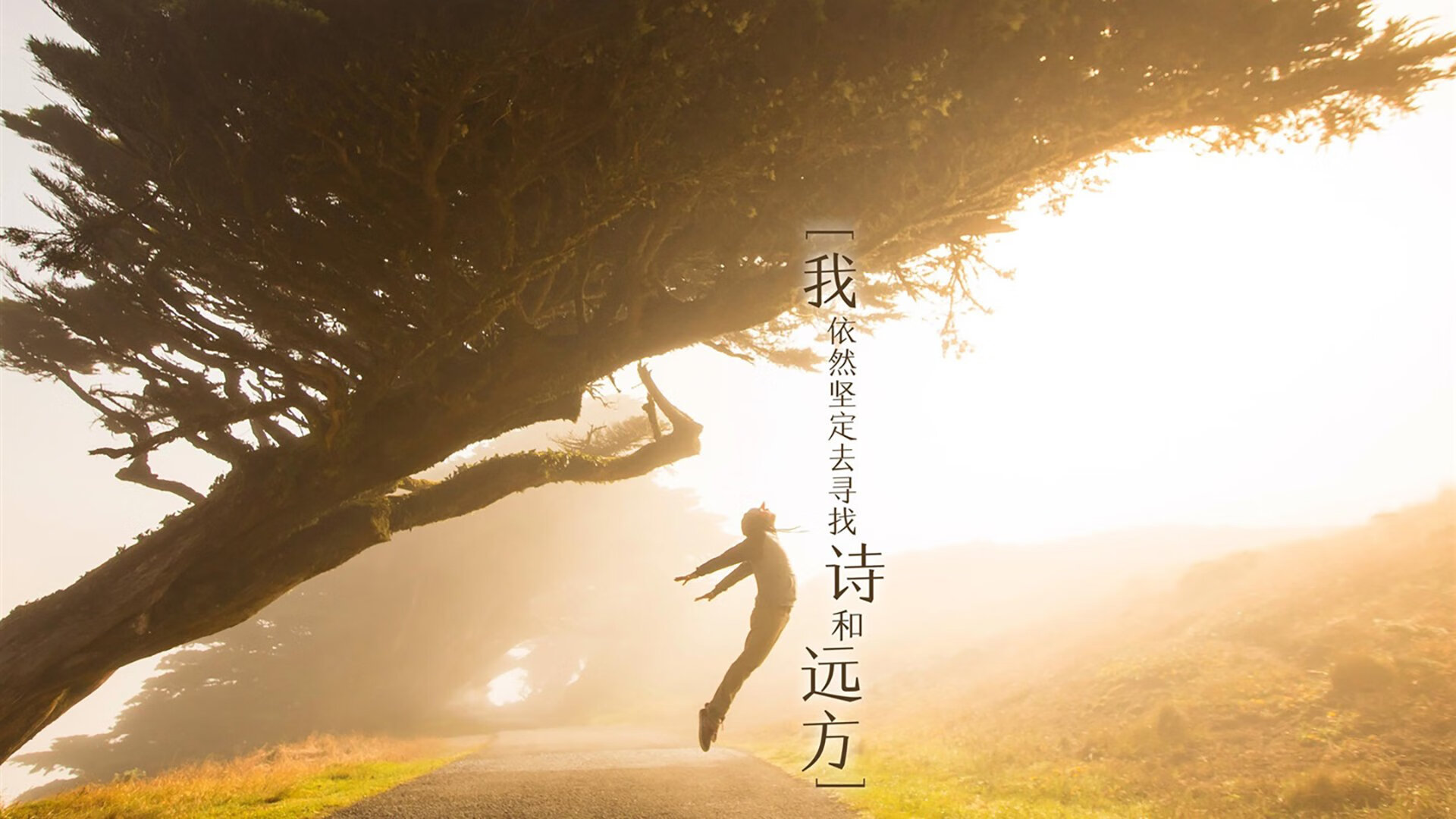 钢铁玫瑰绽放安菲尔德,苏亚雷斯弑旧主导演西班牙突围奇迹