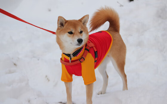 爱游戏tv-孤胆英雄难救主！爱德华兹空砍40+热火团队狂潮席卷吉林