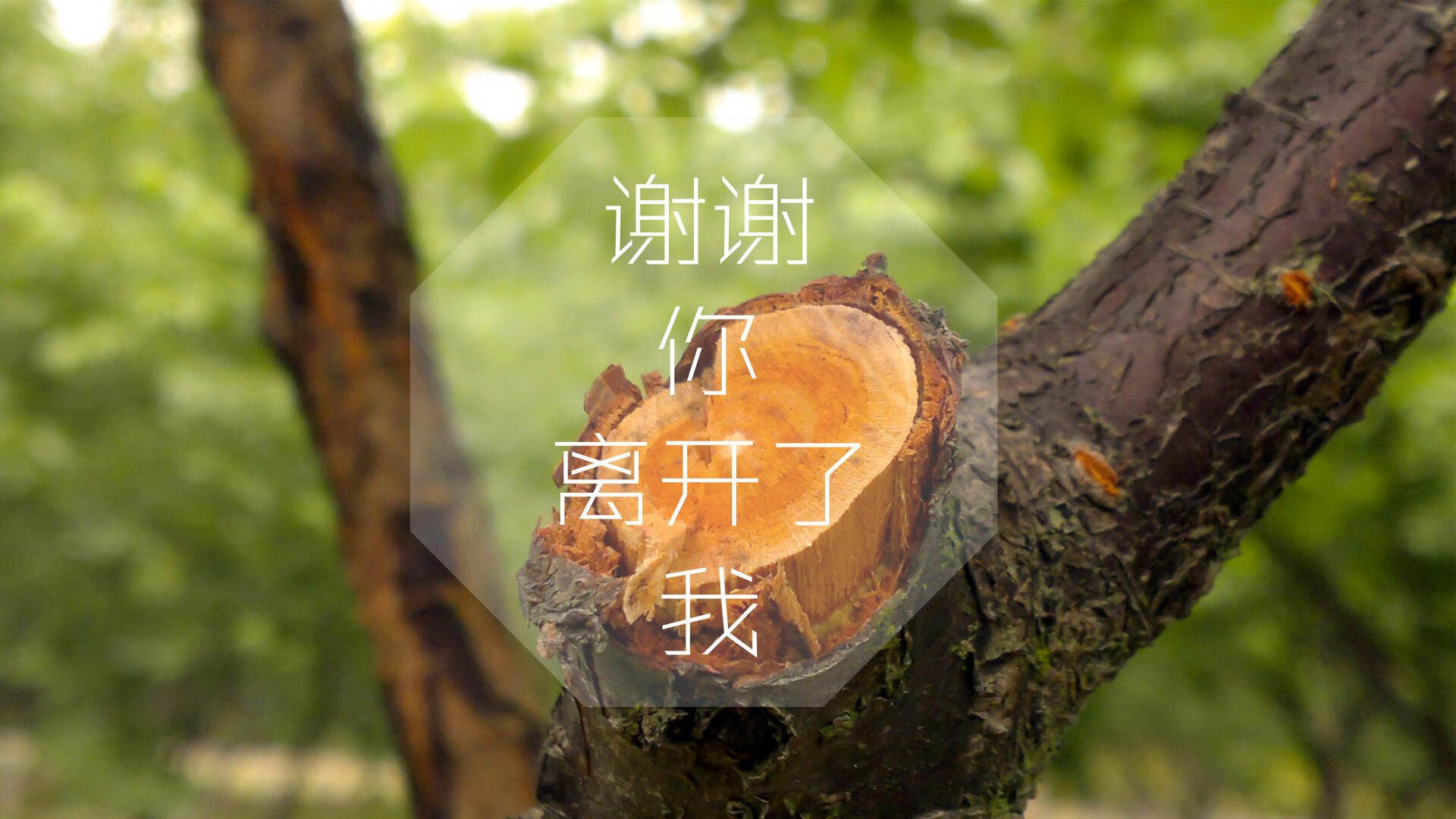 惊天错位！波兰对比利时赛后，数据系统竟捕获苏亚雷斯幽灵？当统治级数据属于不该存在的人