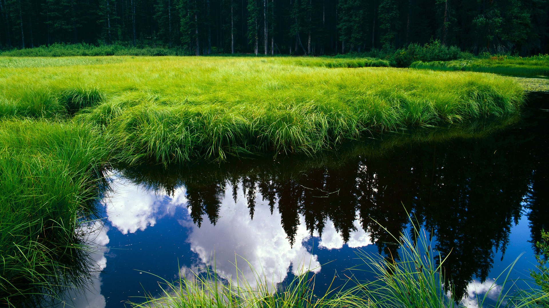 英格拉姆末节神迹击碎纽约！步行者黑马之路靠他单骑闯关