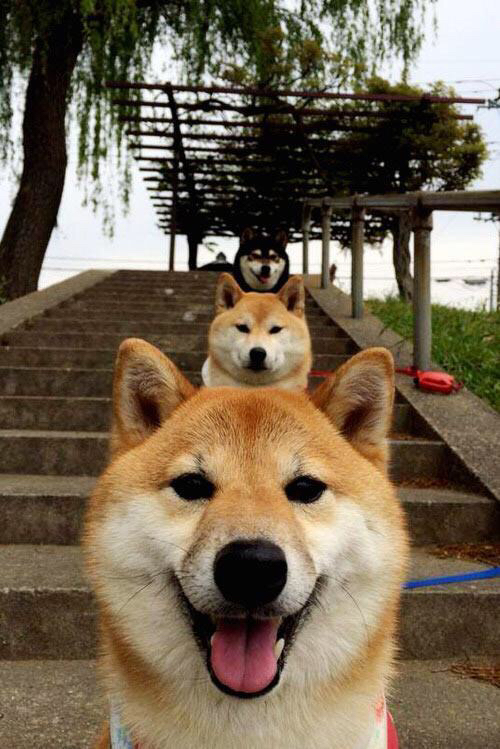 决战伯纳乌，马克西的冠军心跳