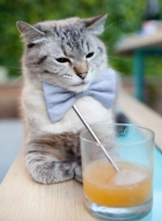 当北岸花园遇见黄河怒吼，一场跨越万里的篮球对话