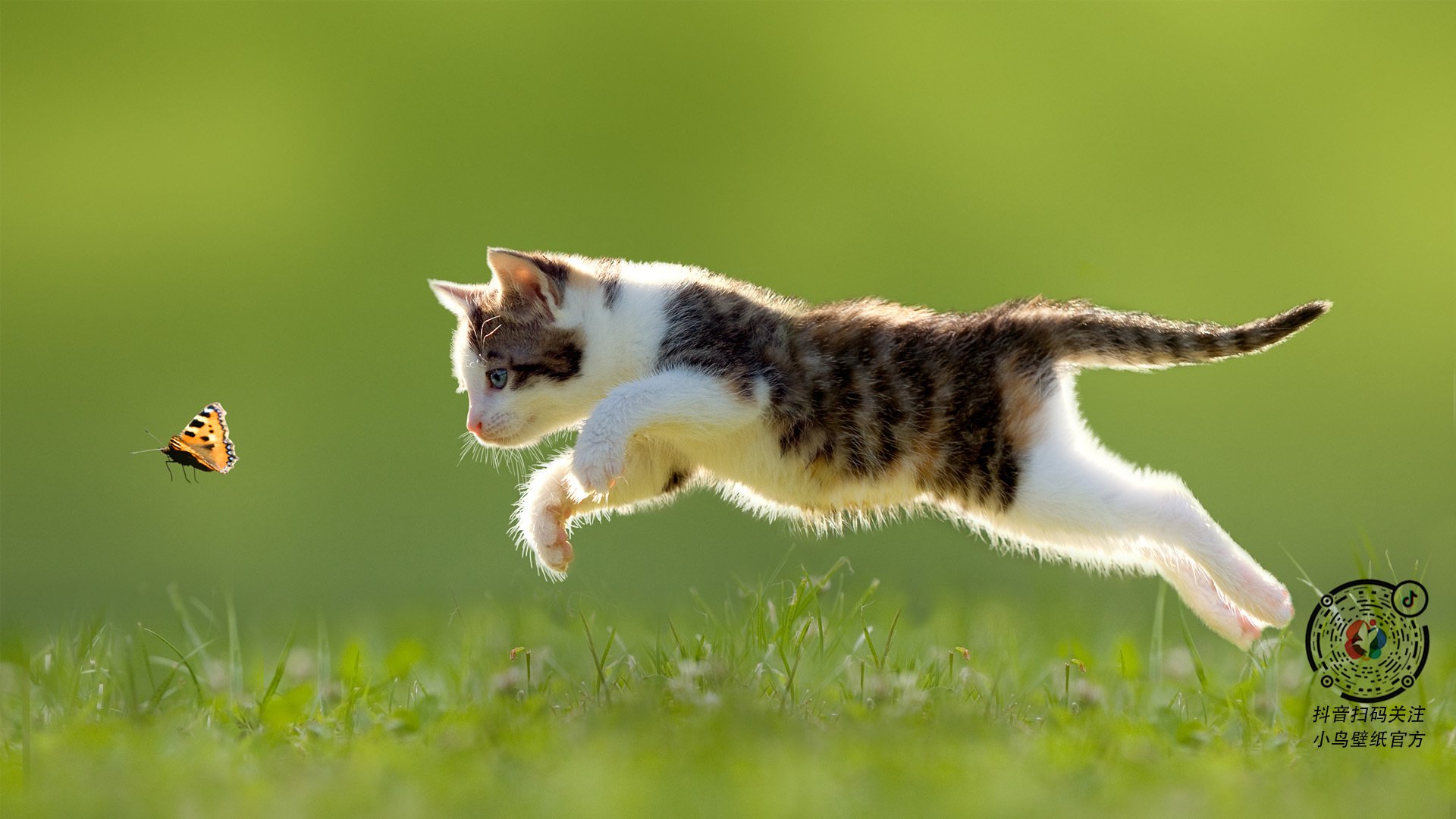 解剖防守的手术刀，哈登的持续杀伤如何肢解活塞