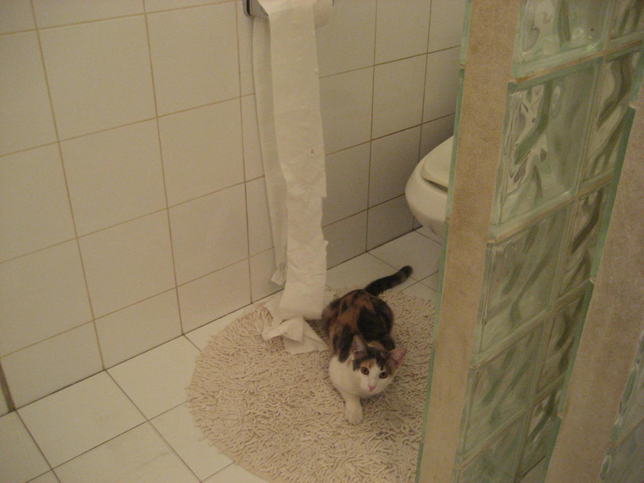 混沌与星辰,当冷门邂逅传奇