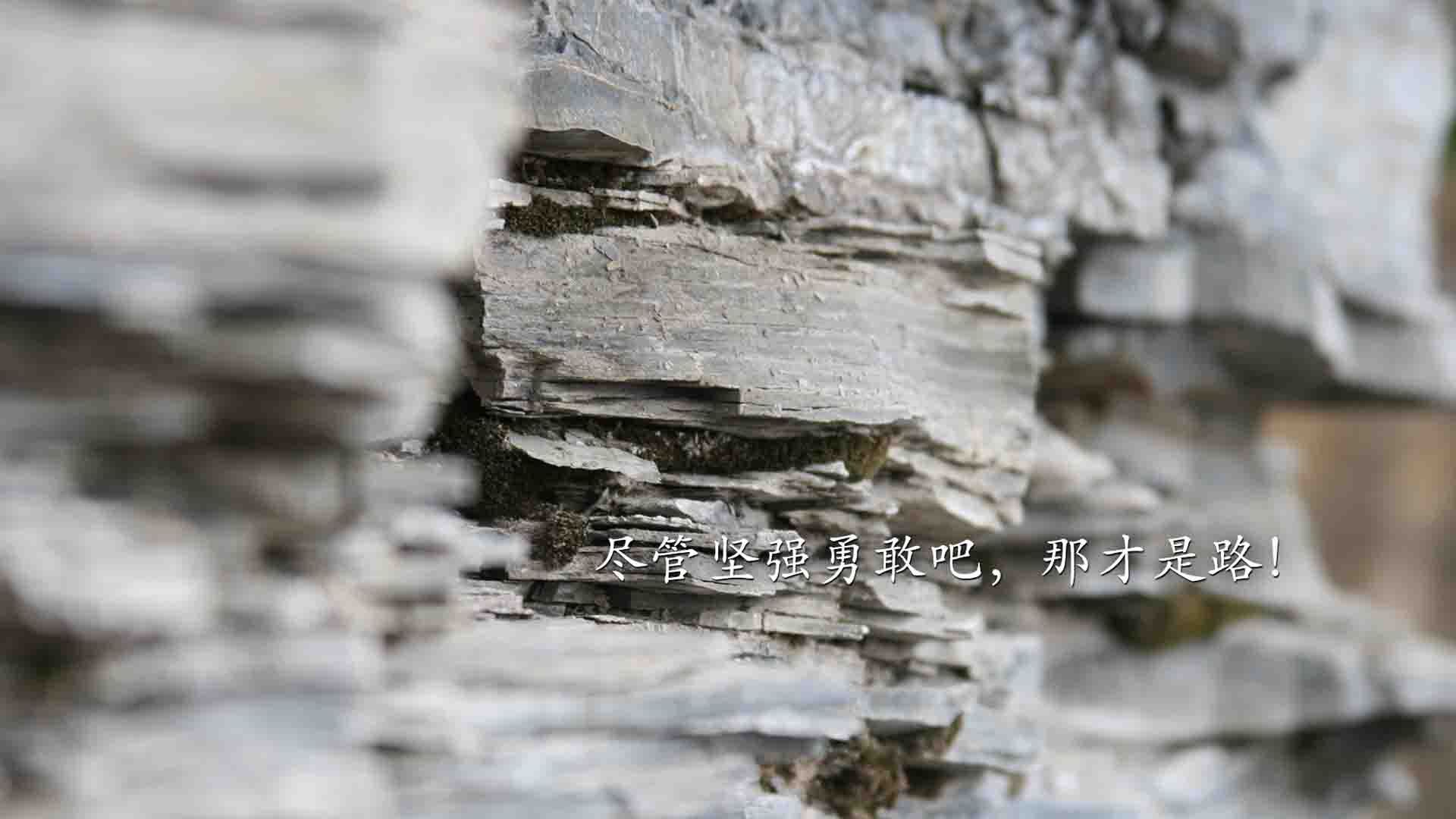 篮球场的绿茵狂想，卡瓦哈尔如何指挥牙买加闪电击溃米兰巨人？