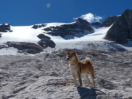 东方武士一剑封喉！富安健洋关键头球助拉齐奥斩落马竞