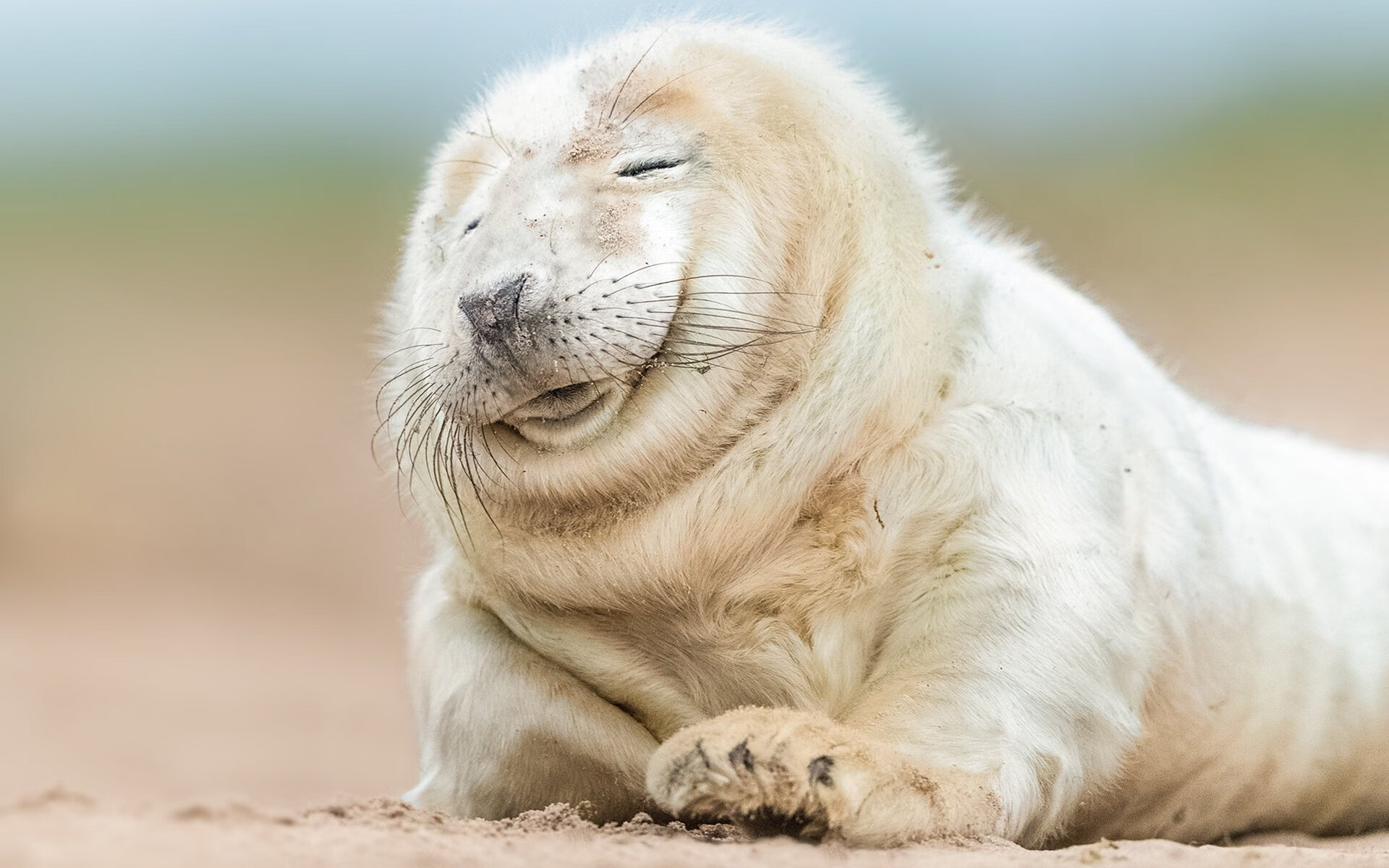 逆流高歌,浓眉在美洲大陆中央划破长夜