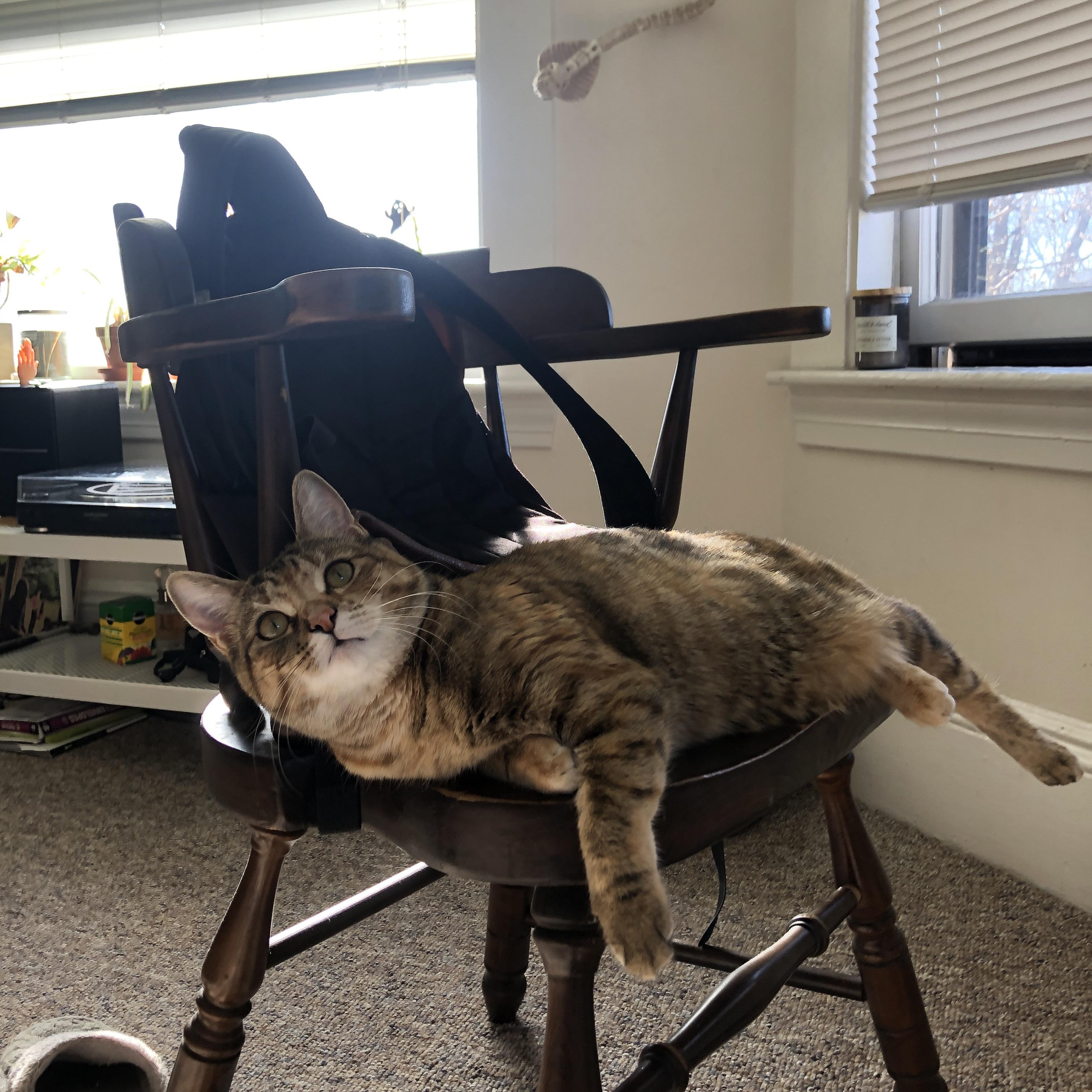 跨界证明,NBA总决赛之夜,哈兰德在焦点战中震撼世界