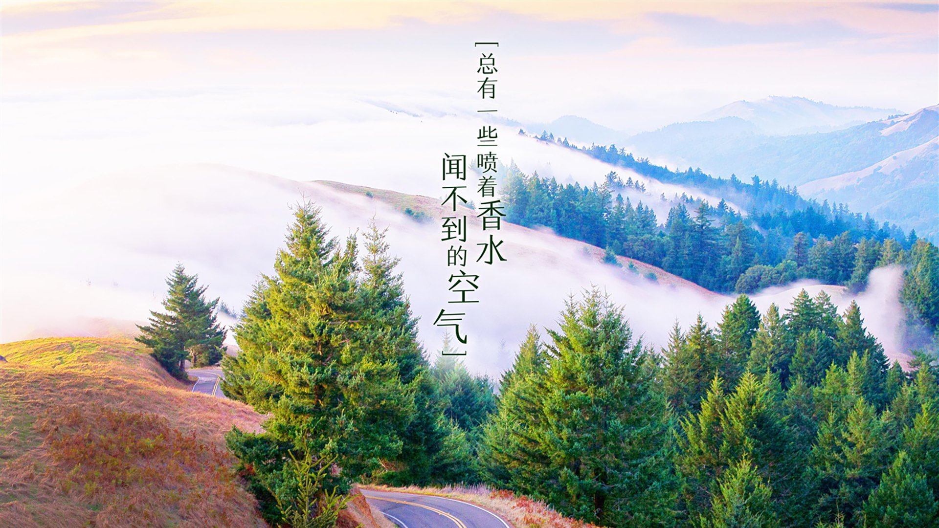 一役定乾坤,保加利亚的孤勇与托纳利的独舞,世界杯生死战中的唯一剧本