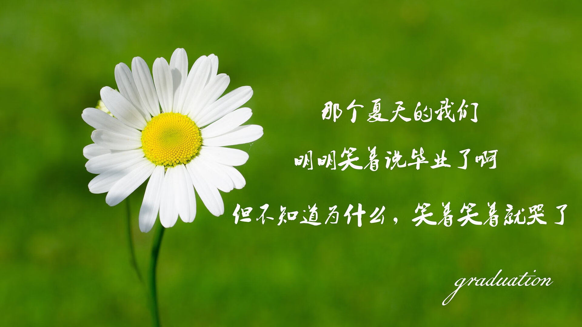 爱游戏入口->唯一的剧本，当比利时巨星迷失，替补席上的无名火，烧穿了泰国队的钢铁城墙